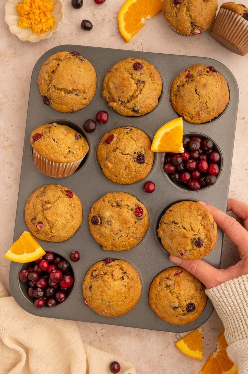Orange Cranberry Muffins in a muffin tin with a hand grabbing one of the muffins and fresh cranberries and oranges scattered around.