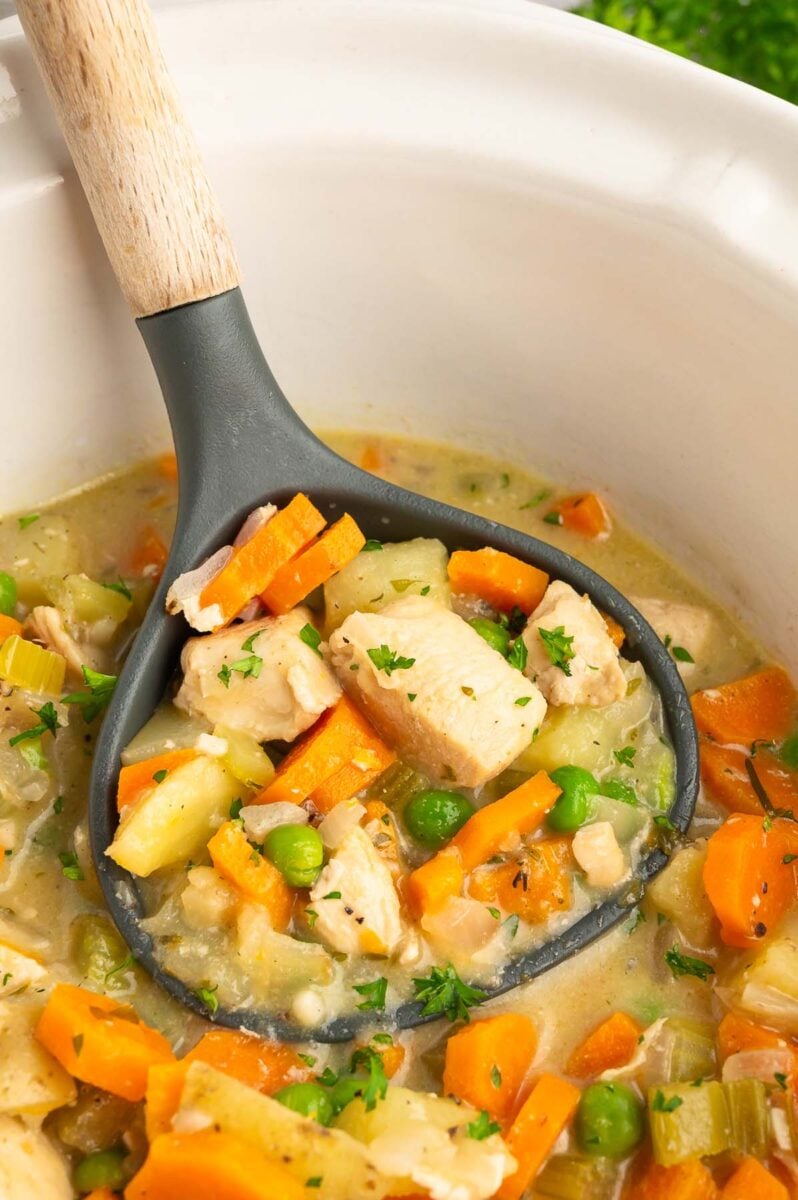 a black ladle scooping up a serving of slow cooker chicken stew