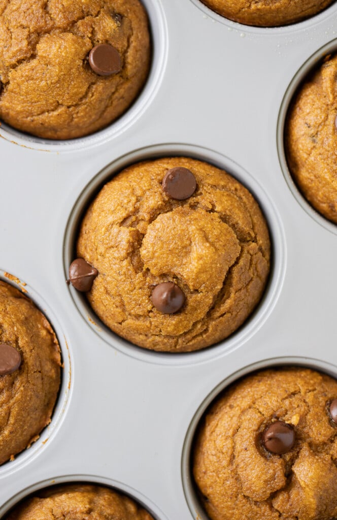 a close up of healthy pumpkin muffins in a grey muffin pan
