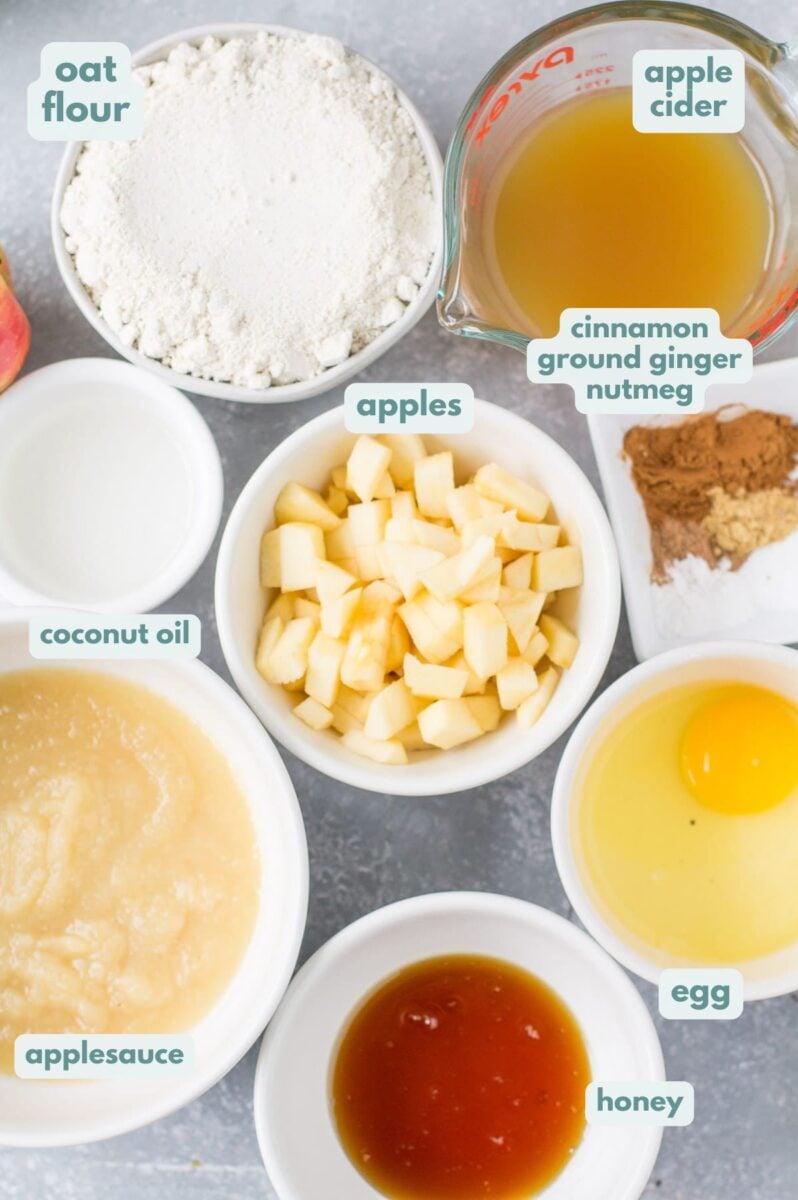 Ingredients for apple cider bread laid out on a grey background.