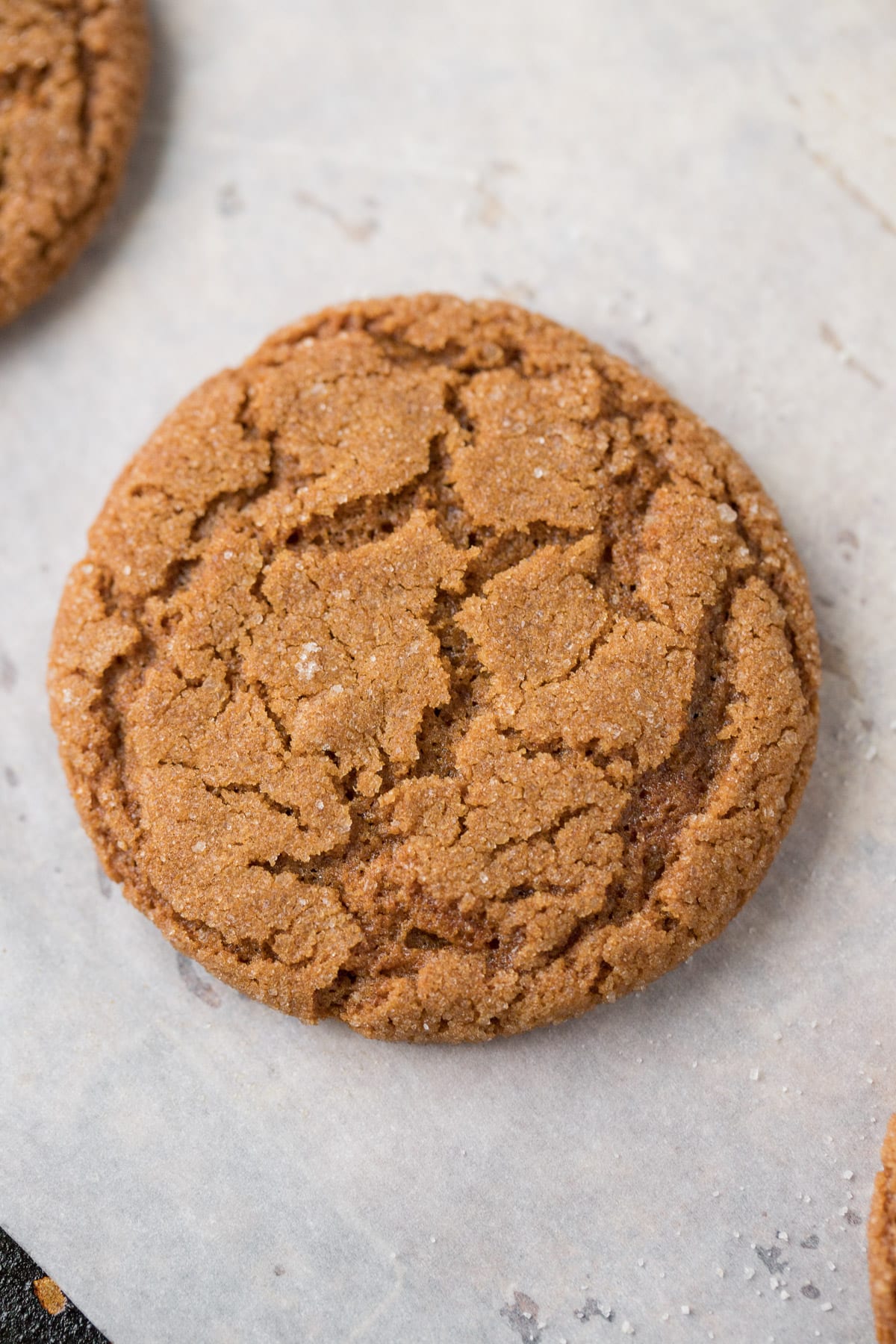 A close up of Crispy Gingersnap Cookies on a parchment lined baking sheet