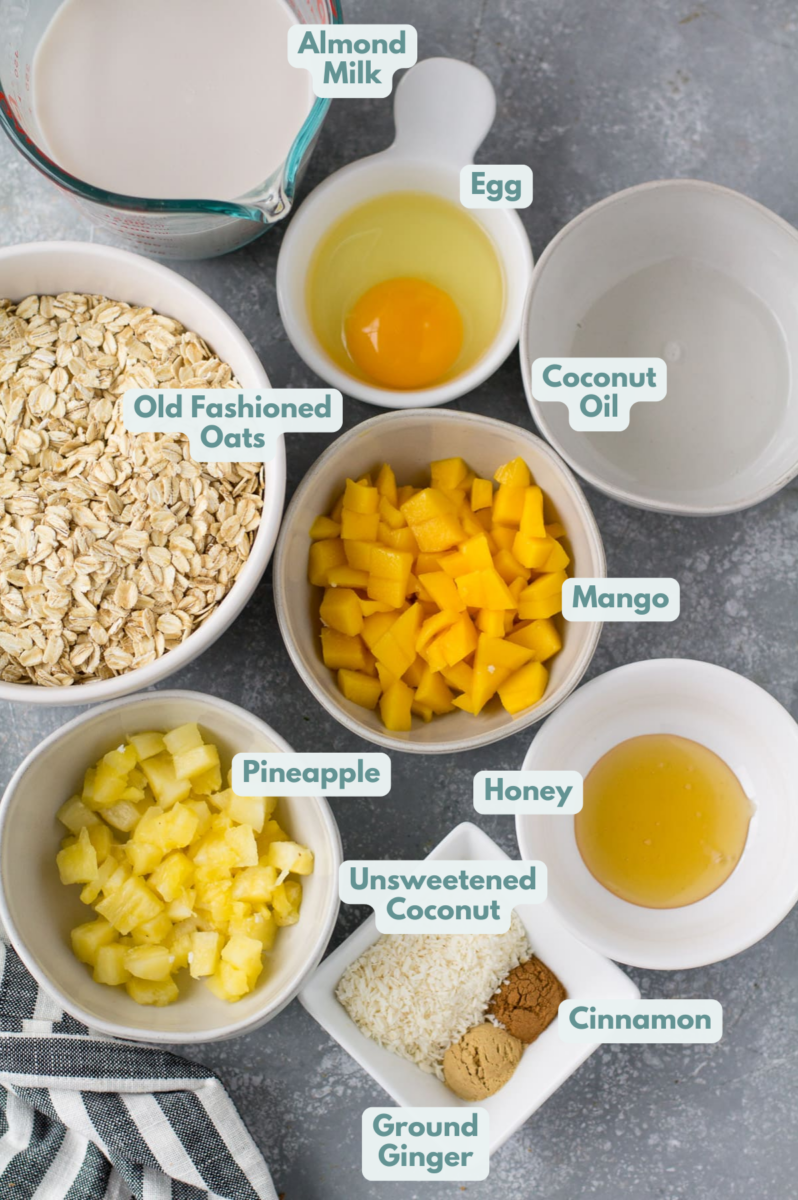 Ingredients for Mango Pineapple Oatmeal laid out in small white bowls on a grey background