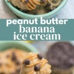 Peanut Butter Banana Ice Cream