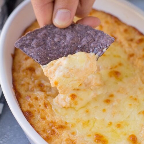 A hand scooping a bite ofVegetarian Buffalo Dip out of a white dish with a blue tortilla chip