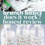 Branch Basics: Does it Work? Honest Review