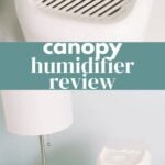 Canopy Humidifier Review