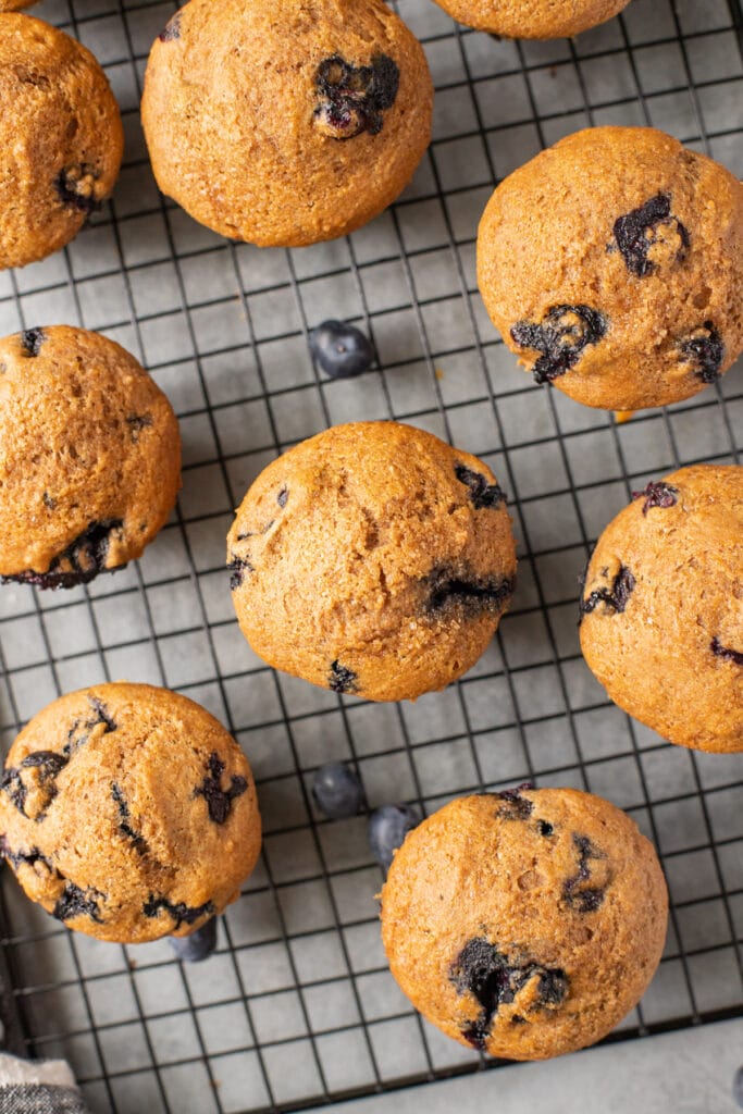 An overhead image of gluten free blueberry muffins on a black cookie sheet cooling off