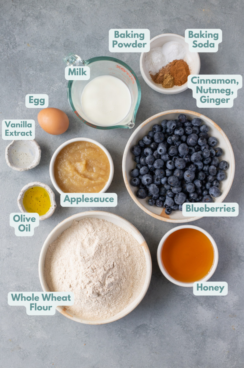 Ingredients for Healthy Blueberry Muffins in small white bowls on a grey background: olive oil, egg, vanilla extract, honey, milk, apple sauce, whole wheat flour or oat flour, cinnamon, nutmeg, ground ginger, baking powder, baking soda, fresh blueberries.