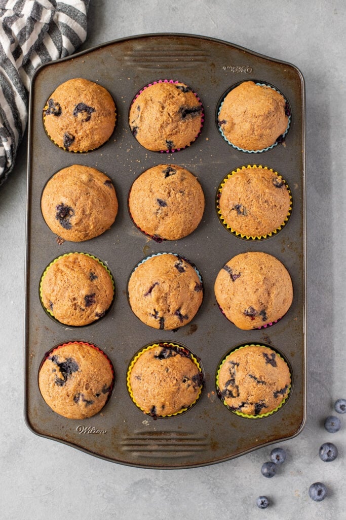 An overhead image of healthy blueberry muffins fresh out of the oven in a muffin tin