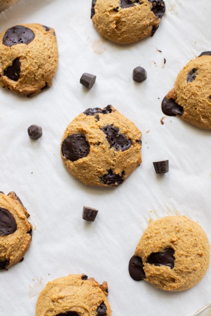 a close up of healthy whole wheat chocolate chip cookies on a white parchment lined baking sheet