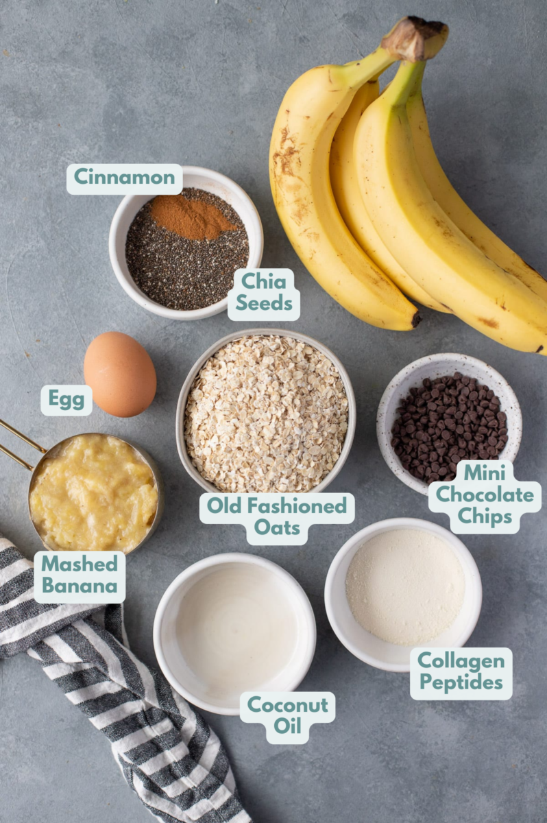 Ingredients for banana breakfast cookies in white bowls on a grey background: mashed bananas, egg, coconut oil, old fashioned oats, chia seeds, cinnamon, chocolate chips