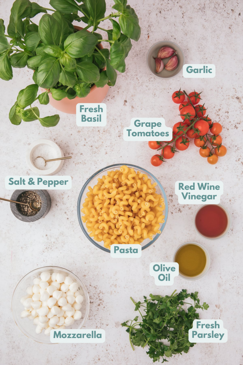 Ingredients for caprese pasta salad in clear bowls: pasta, fresh mozzarella balls, juicy tomatoes, fresh basil, olive oil, red wine vinegar, fresh garlic, salt, pepper, fresh basil, fresh parsley
