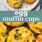 Egg Muffin Cups