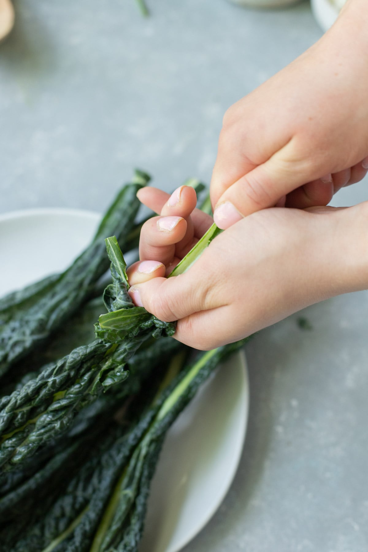 A close up of a hand pulling the lacinato kale leaves off of the stem
