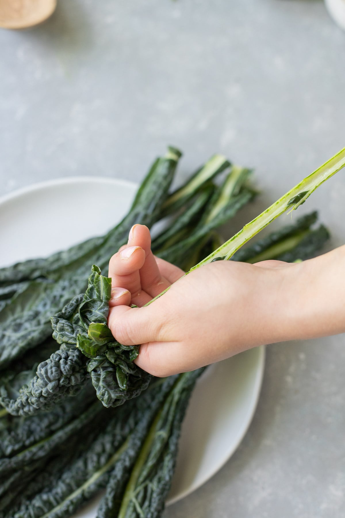 Lacinato kale leaves being pulled off the stem