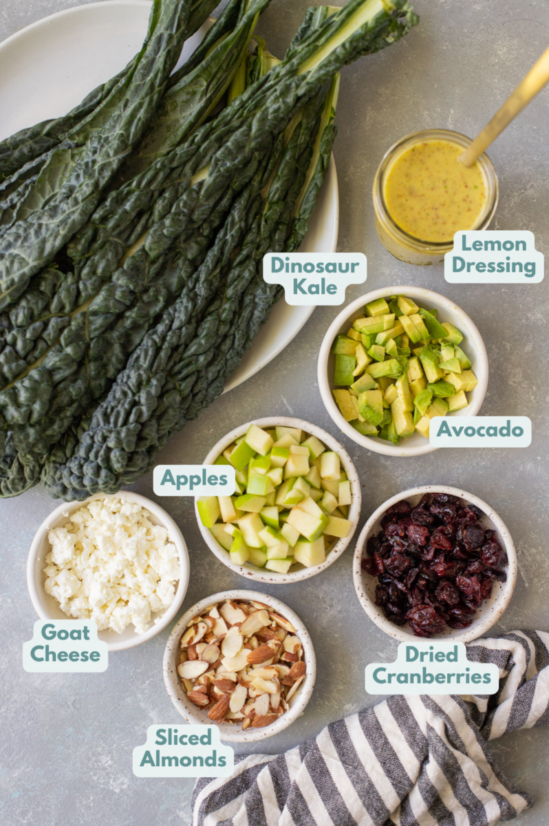 Best Kale Salad Recipe ingredients in small white bowls on a grey background