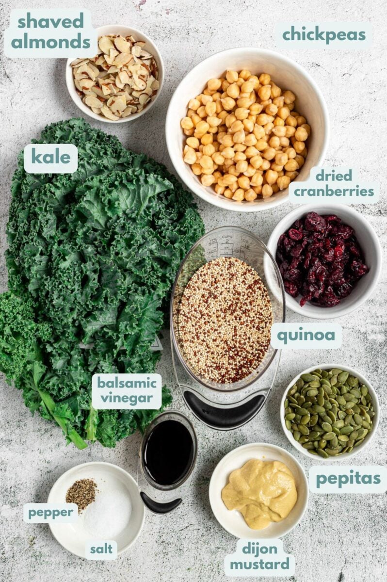 Ingredients for kale quinoa salad in white bowls: dry quinoa, water, lacinato kale, chickpeas, dried cranberries, sliced almonds, pepitas, balsamic vinegar, dijon mustard, salt and pepper