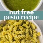 Nut Free Pesto Recipe