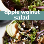 Apple Walnut Salad