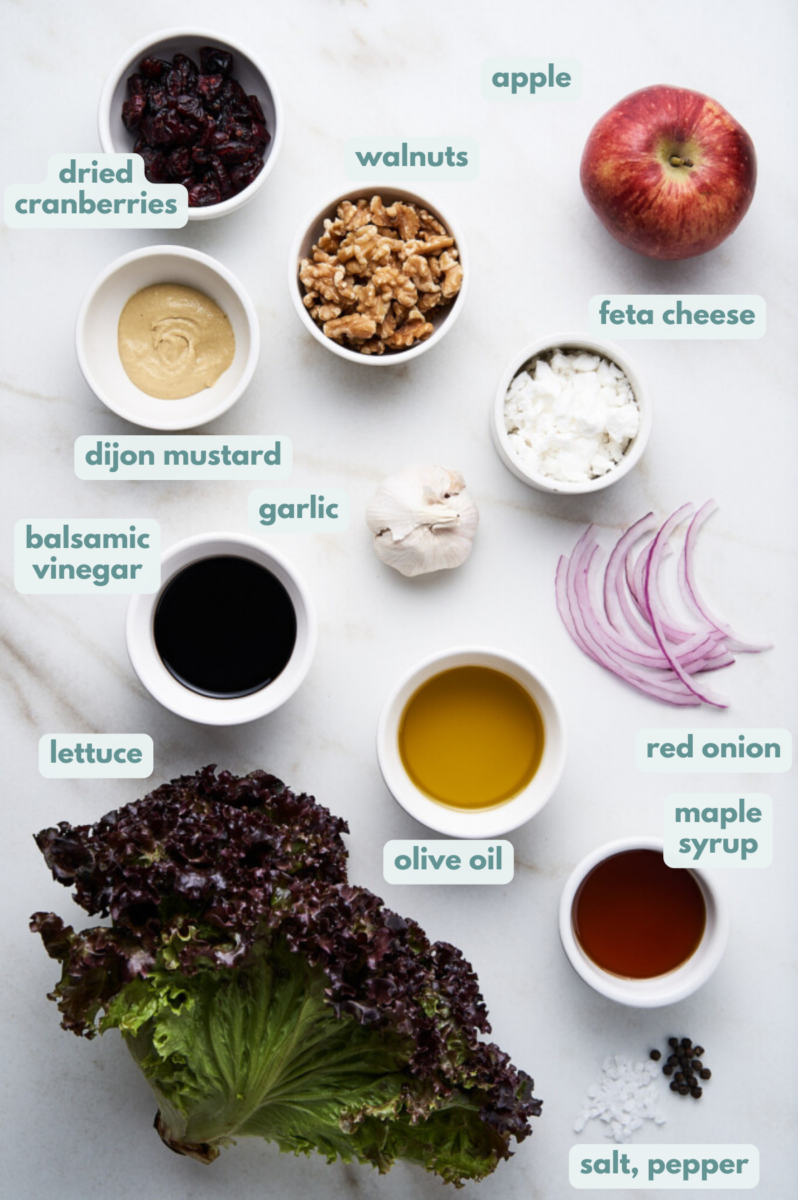 Ingredients for apple walnut salad in white bowls: walnut halves, red leaf lettuce, red onion, dried cranberries, feta cheese, apple, olive oil, balsamic vinegar, dijon mustard, maple syrup, garlic, salt & pepper