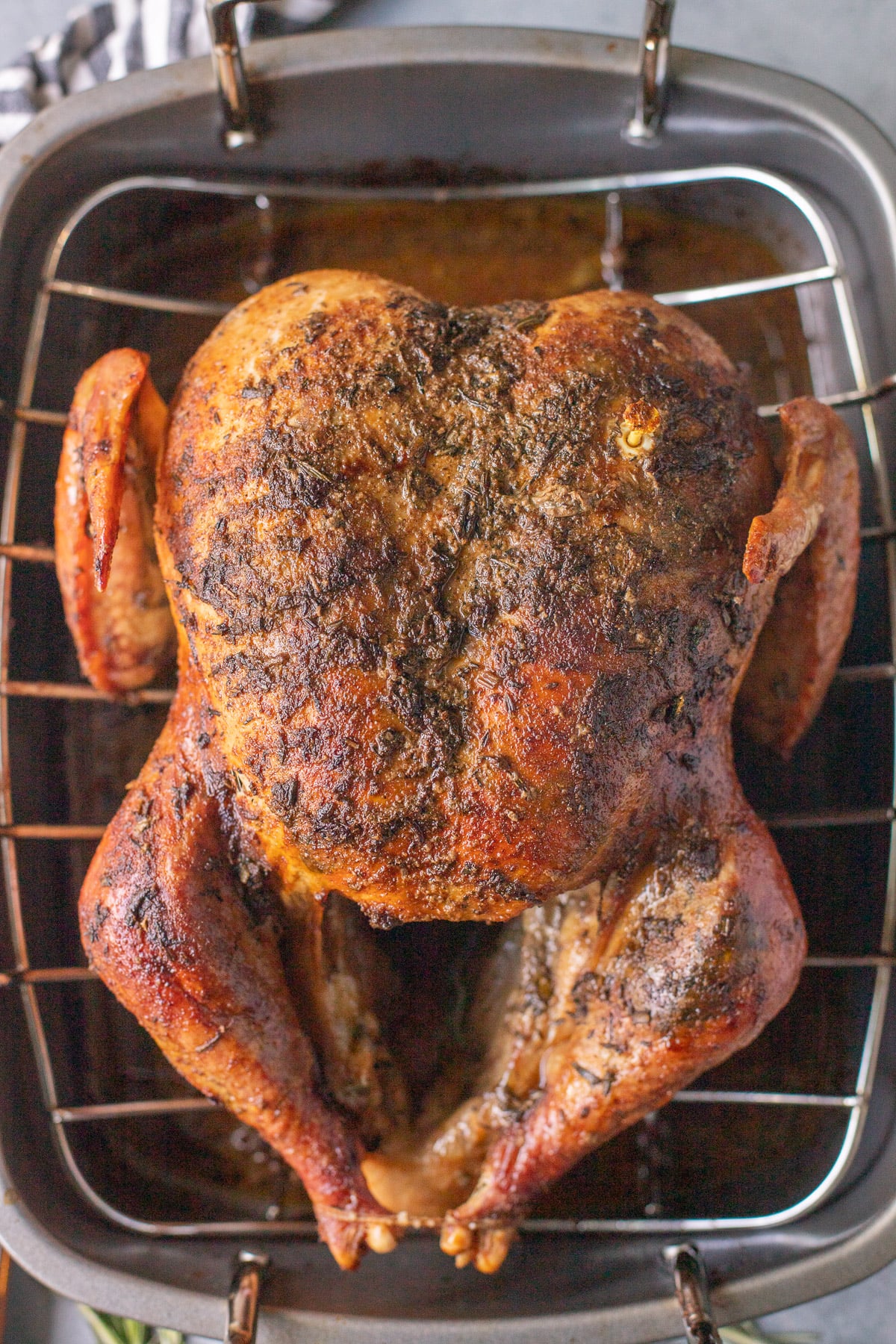 a close up of a roasted turkey fresh out of the oven