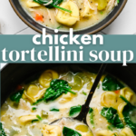Chicken Tortellini Soup
