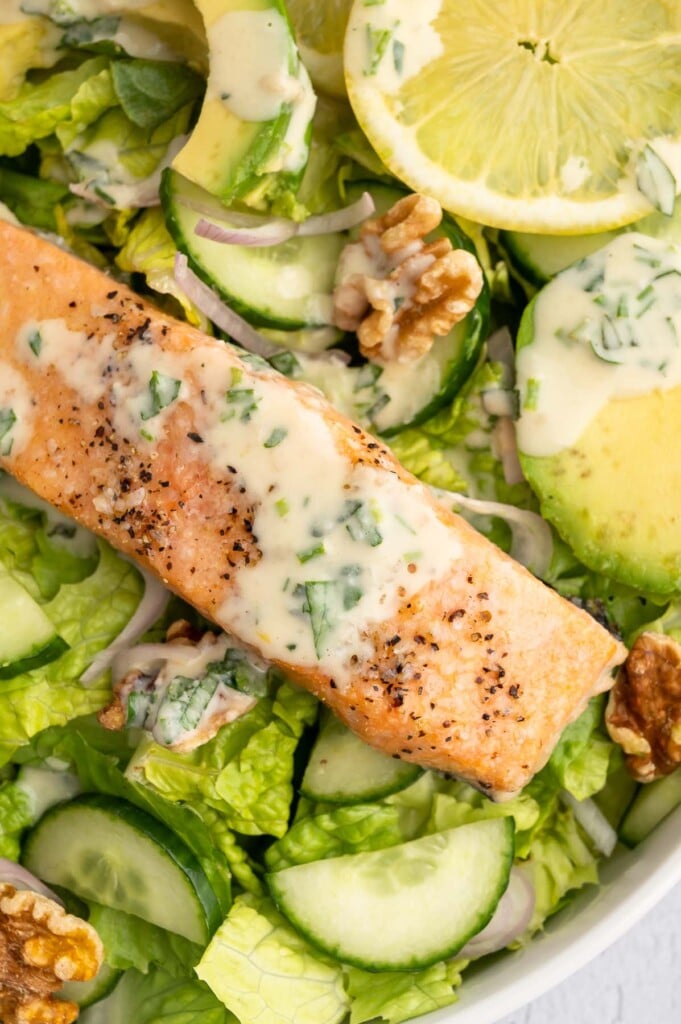 A close up of a salmon salad with tahini dressing, cucumbers, avocado, and lemon slices on top