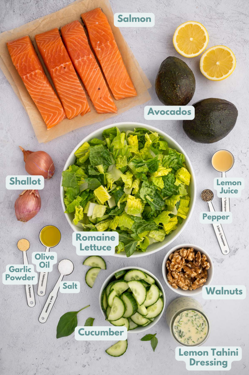 Ingredients for a healthy salmon salad in bowls on a grey background: salmon, olive oil, lemon juice, garlic powder, salt, pepper, tahini lemon salad dressing, avocado, romaine lettuce, cucumber, shallot, walnuts