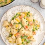 Crustless chicken pot pie on a bed of white rice on a plate on a white background with a dutch oven of the dish on the side.