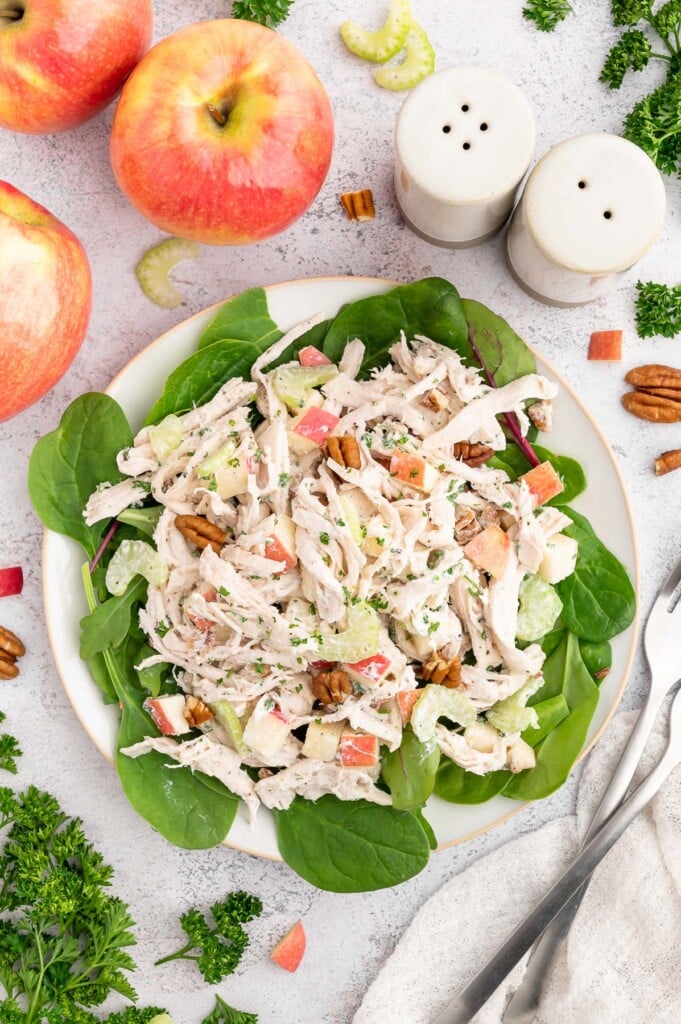 A greek yogurt chicken salad on a bed of greens on a grey background.