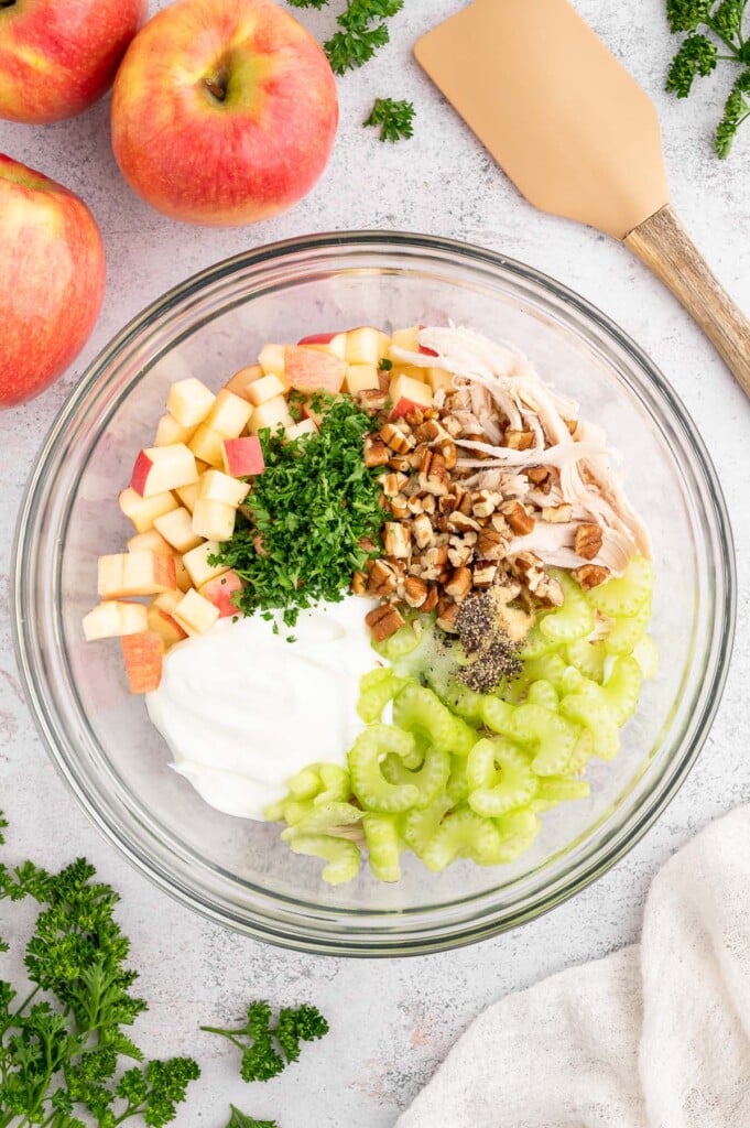 An overhead image of healthy chicken salad in a white bowl before being mixed together.