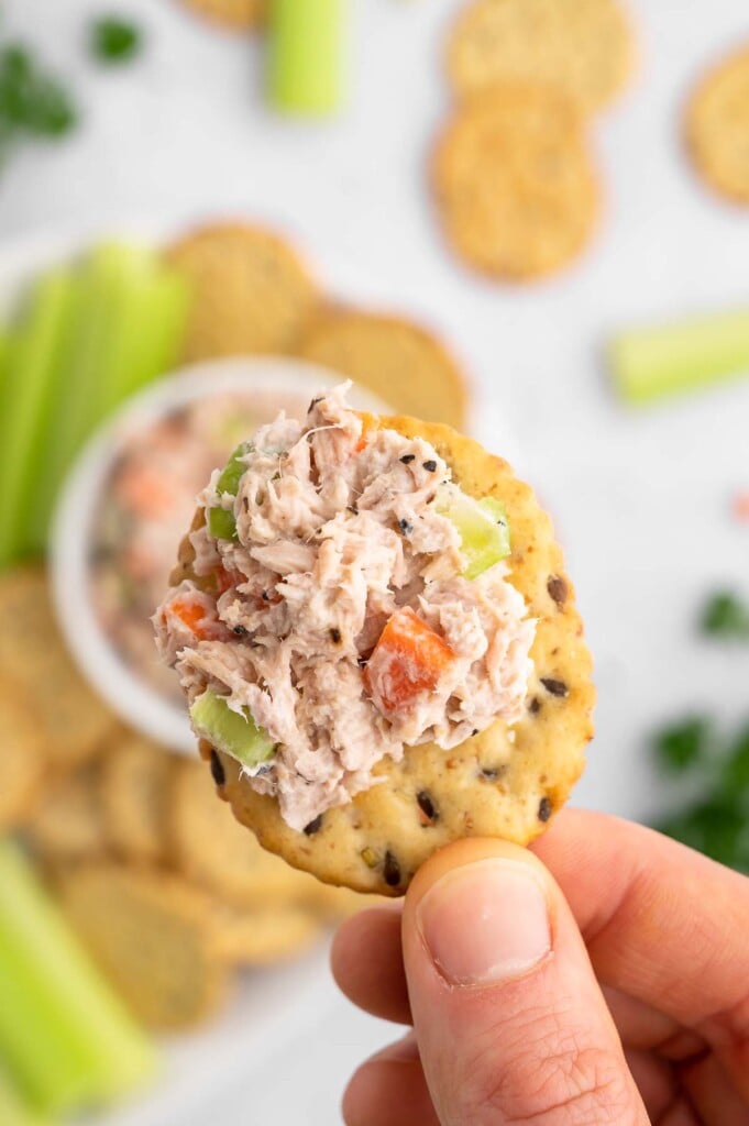 A hand holding up a single cracker with greek yogurt tuna salad on it.