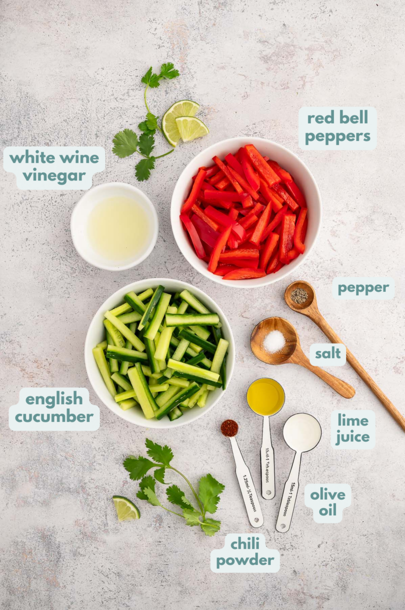 Ingredients for marinated vegetable salad in small bowls: english cucumber, red bell peppers, white wine vinegar, lime juice, olive oil, salt, pepper, chili powder