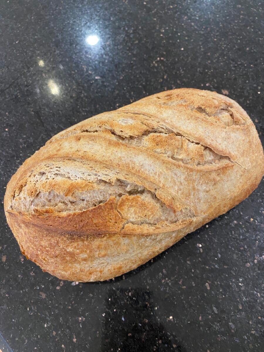 Wildgrain sourdough bread freshly baked