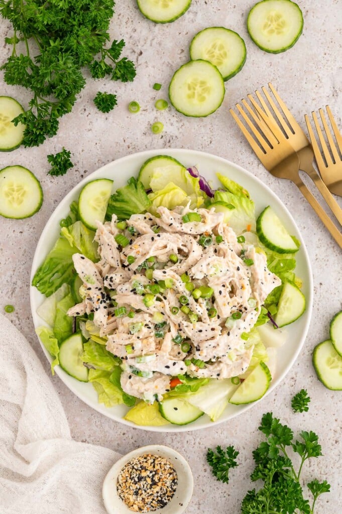 Everything Bagel Chicken Salad on top of a bed of romaine lettuce with sliced cucumbers.