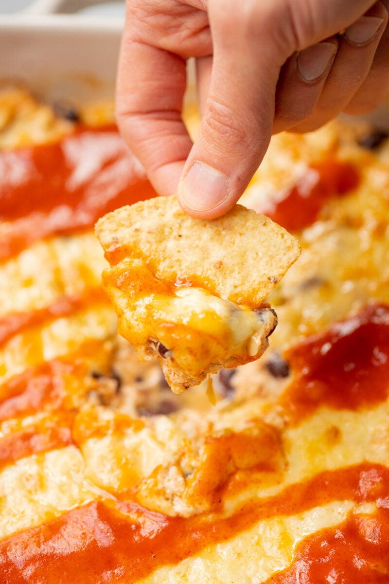 A chip lifting chicken enchilada dip out of a baking dish of the dip.