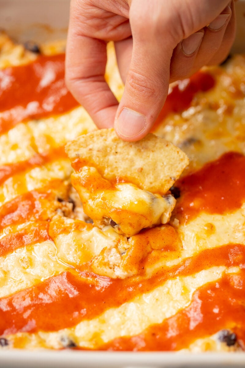 A chip scooping into a baking dish of chicken enchilada dip.
