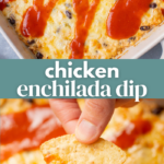 Chicken Enchilada Dip Pin