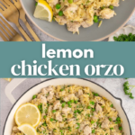 Lemon Chicken Orzo Pin