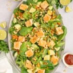 Sweet chili salmon salad on a large platter with more ingredients on the side.