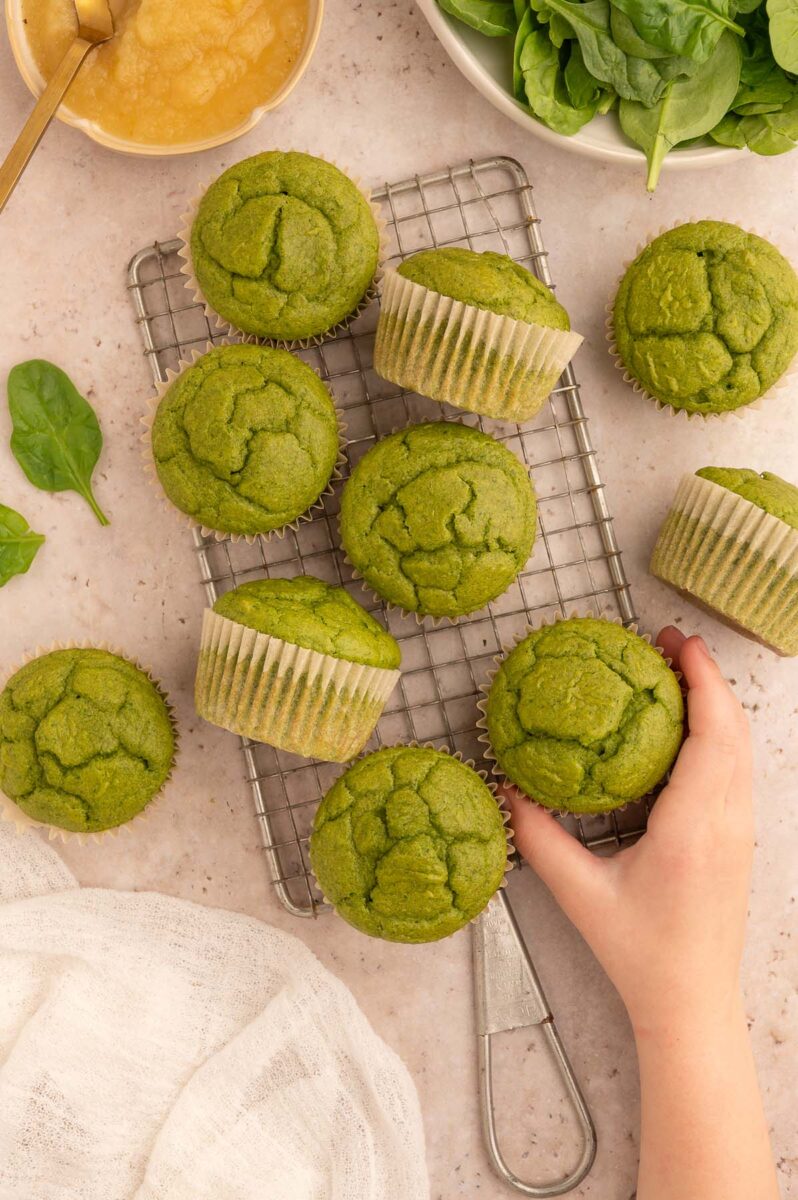 A hand grabbing a green muffin with more spinach muffins scattered on a counter.